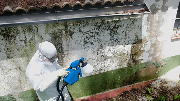 Top rated local Attic Mold Removal specialists in Windsor, PA